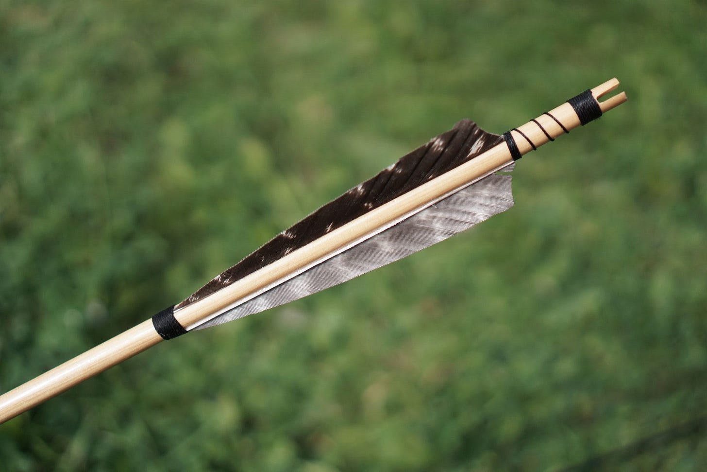Poisoned Arrow Poisoned Arrow