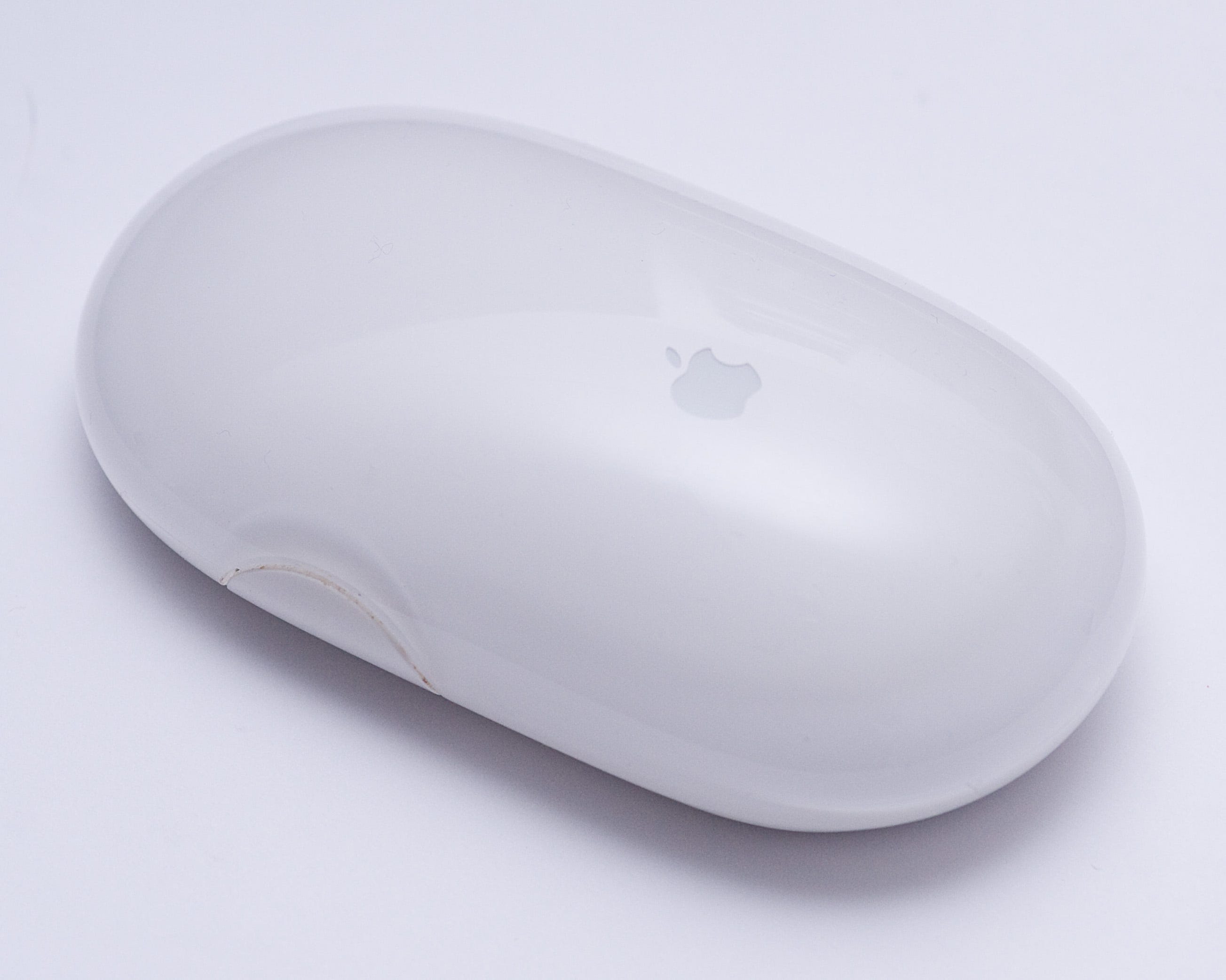 Jon Rogenstein This mouse has no tail! - by Chris Hynes - cricket