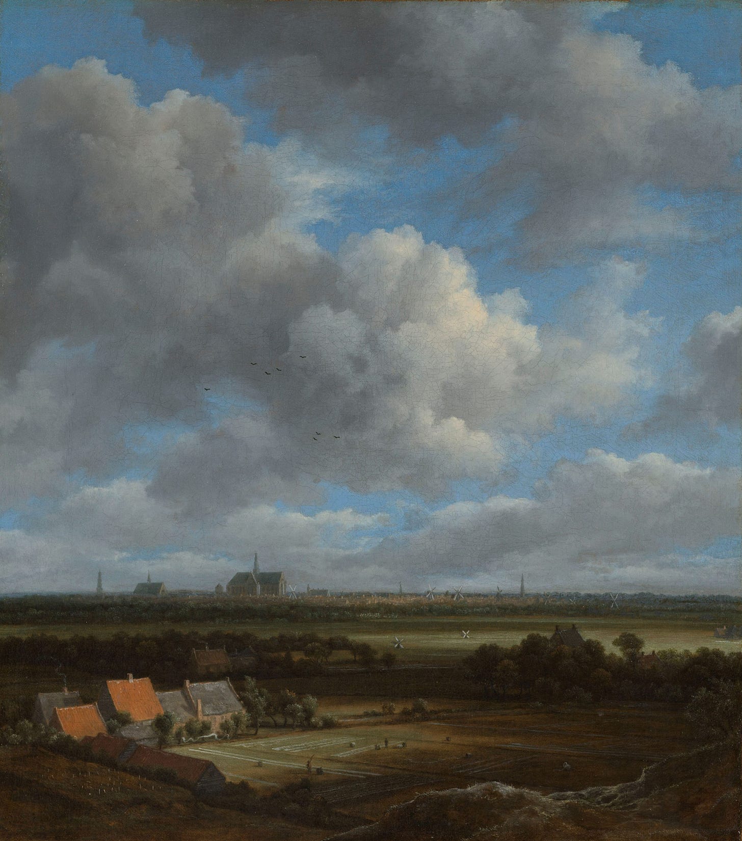 Ruisdael View of Haarlem Ruisdael View of Haarlem
