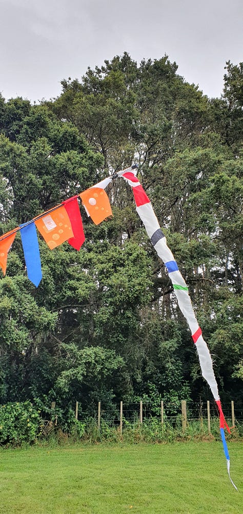 Flags made by Mc Kinley Rd Creatives