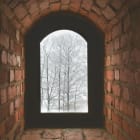 “The old world order is ending”