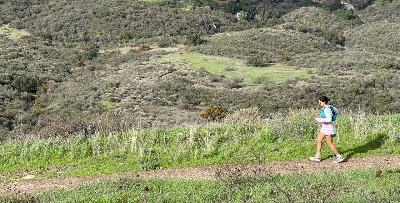 The pregnant runner diaries