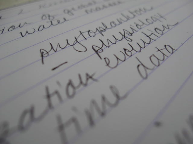 photo of written words