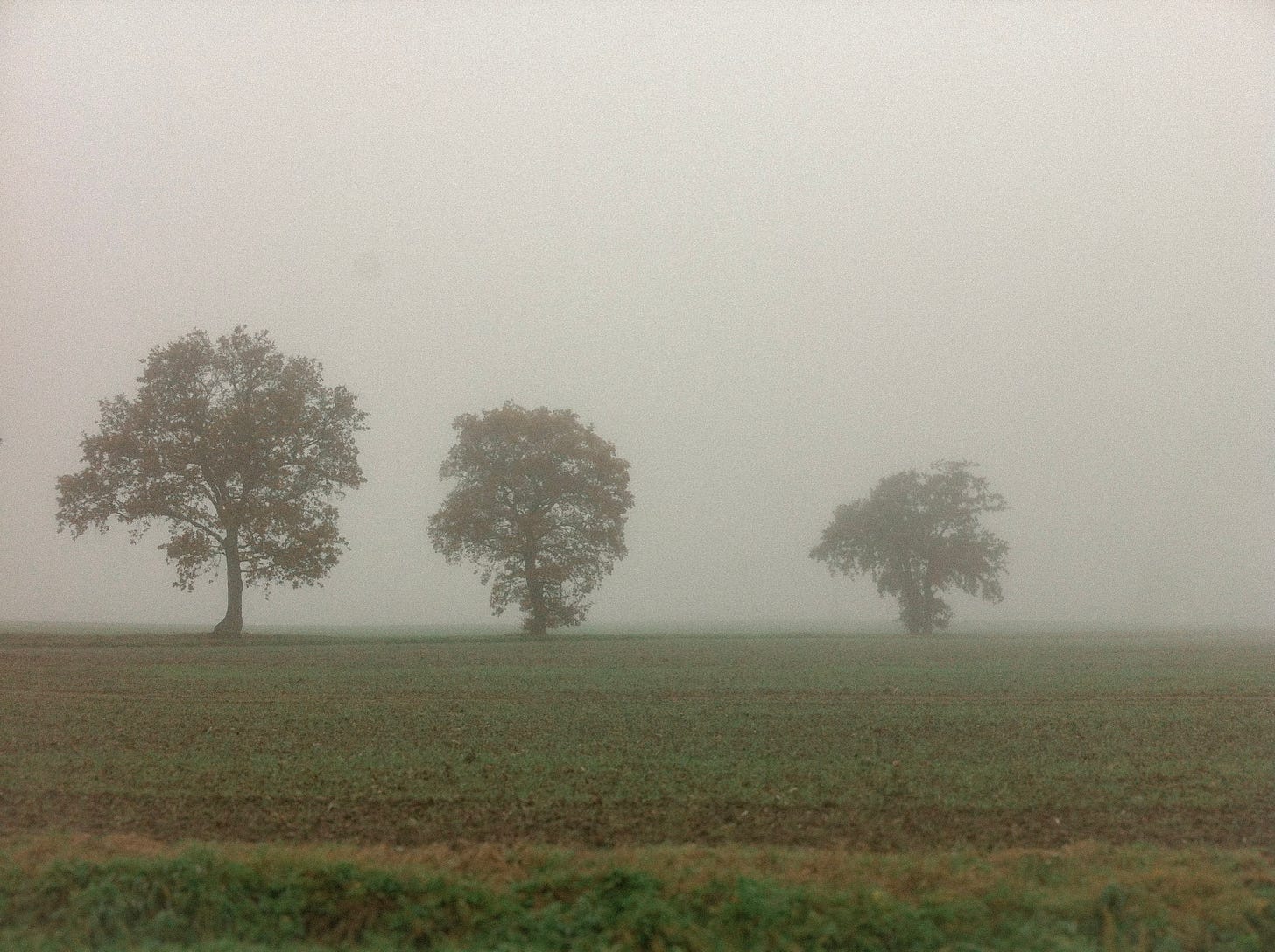 Searching for inspiration in the fields on days off Searching for inspiration in the fields on days off