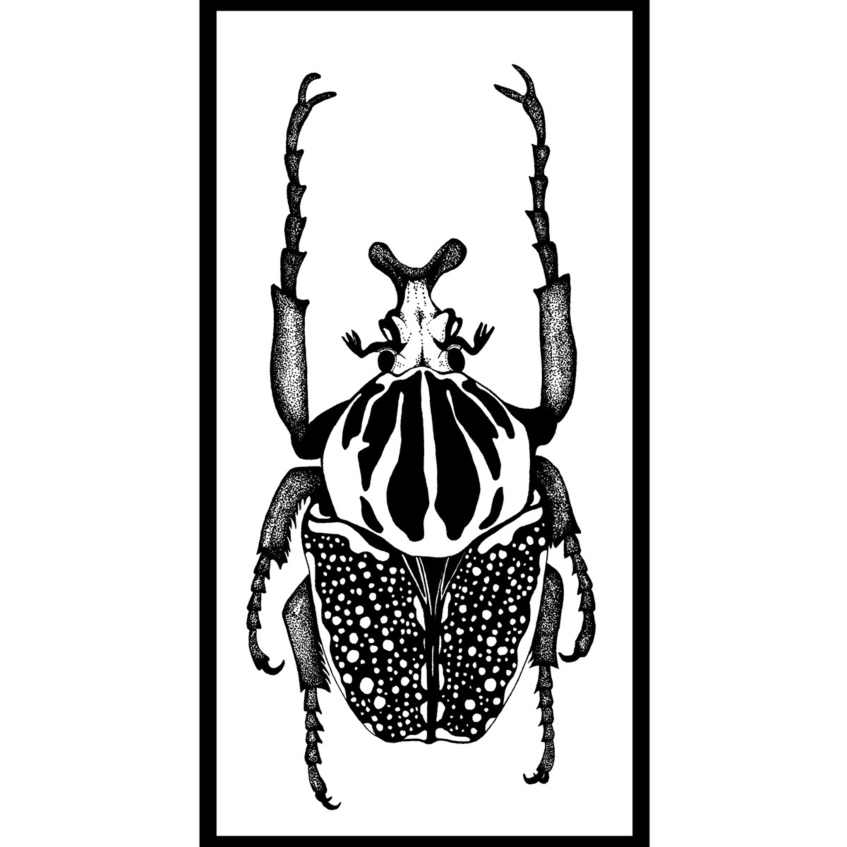 Substack profile picture for @beetles
