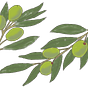 Olive's avatar