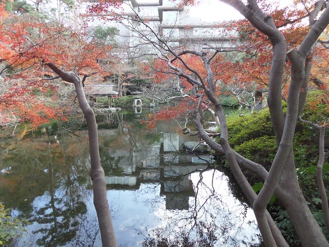 Foliage at Happo-en Foliage at Happo-en