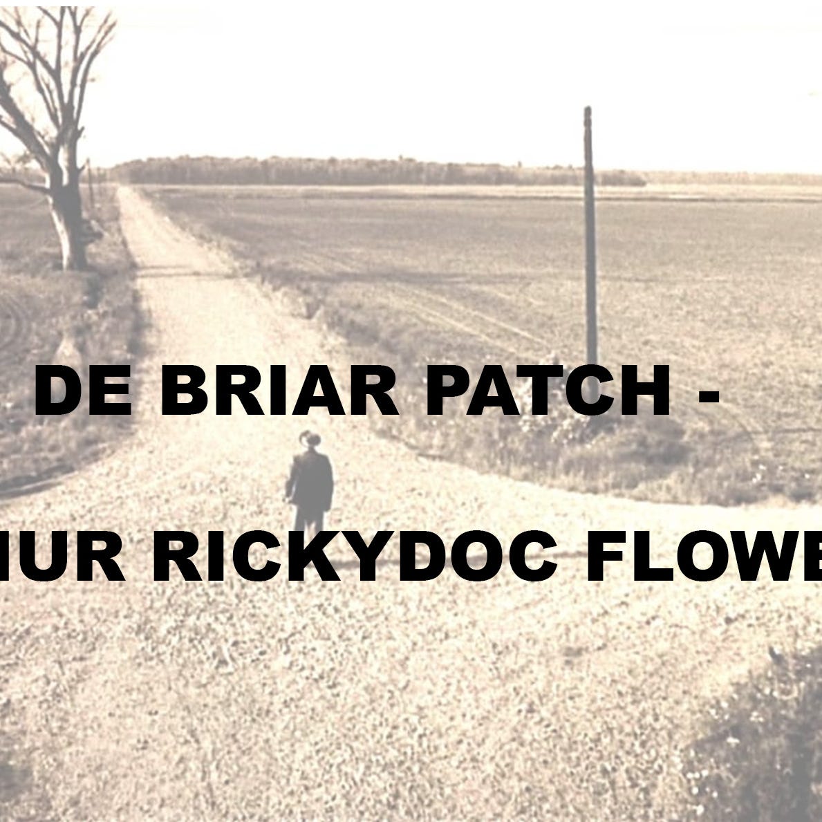 De Briar Patch - Arthur Rickydoc Flowers