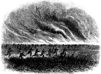 [Image: A burning Plain]