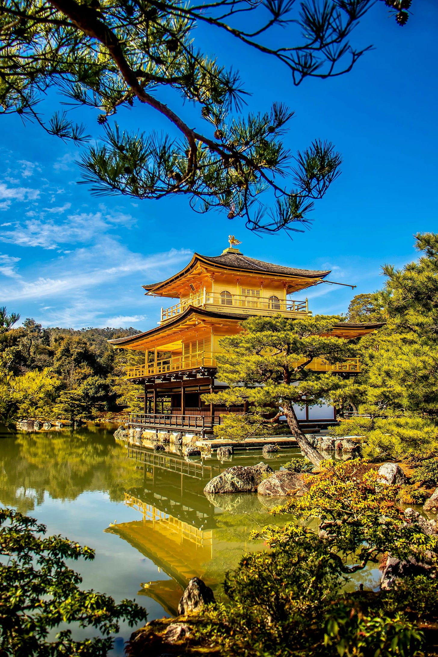 Kinkaku-ji Temple in Kyoto