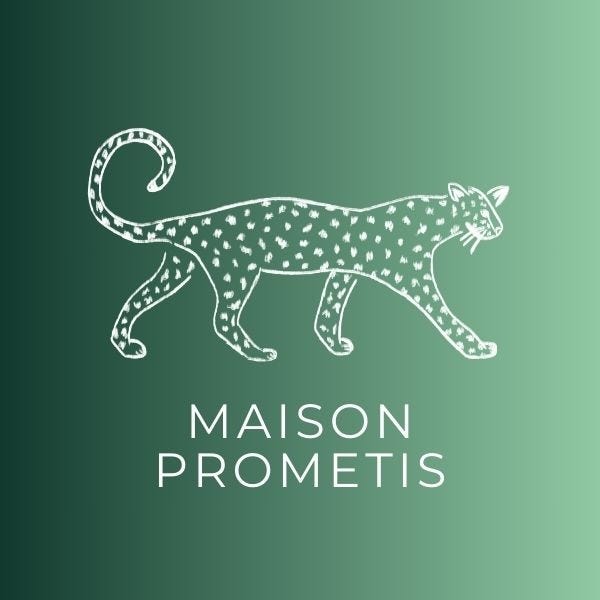 Maison Prometis logo