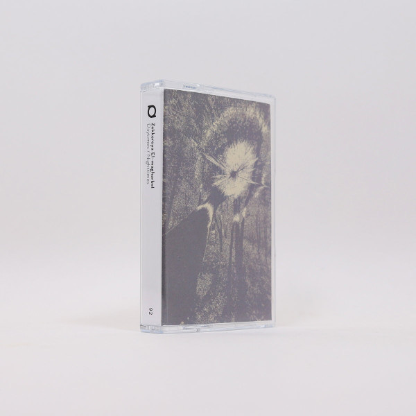 Daytimes / Nighttimes, Primary, 1 of 1 Daytimes / Nighttimes, Primary, 1 of 1