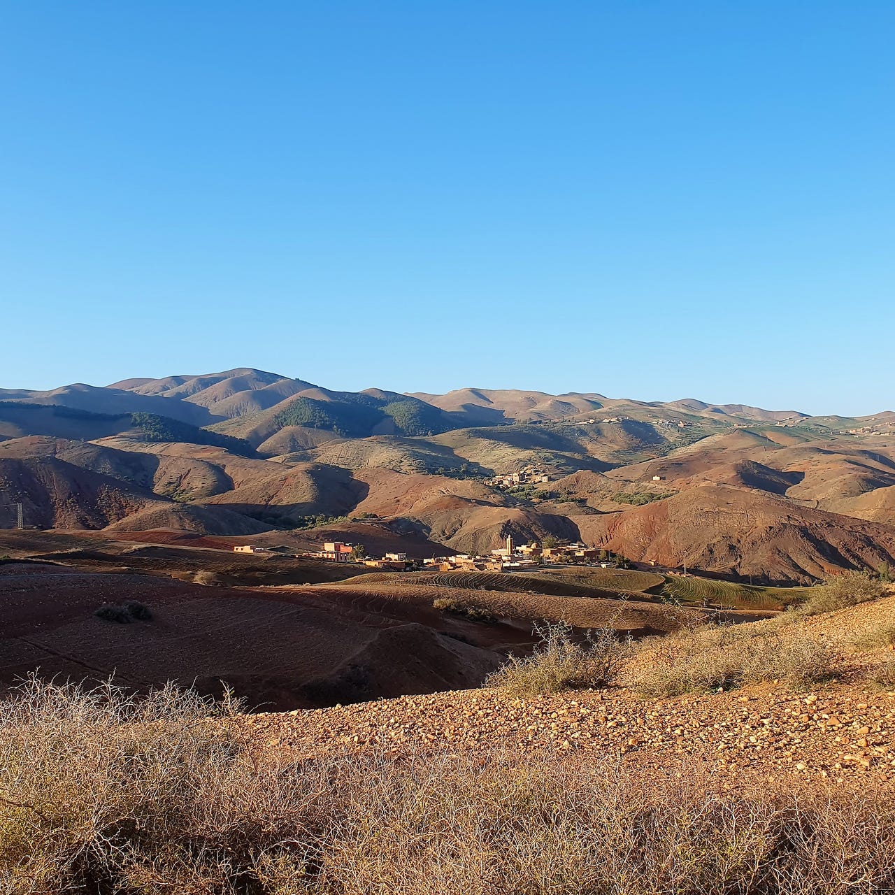 New perspectives on unions and the world of work