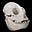 born in pain's avatar