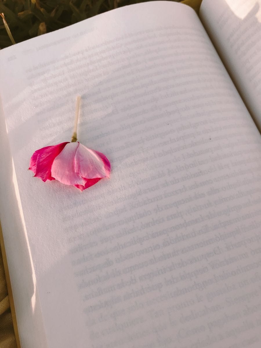 May be an image of flower