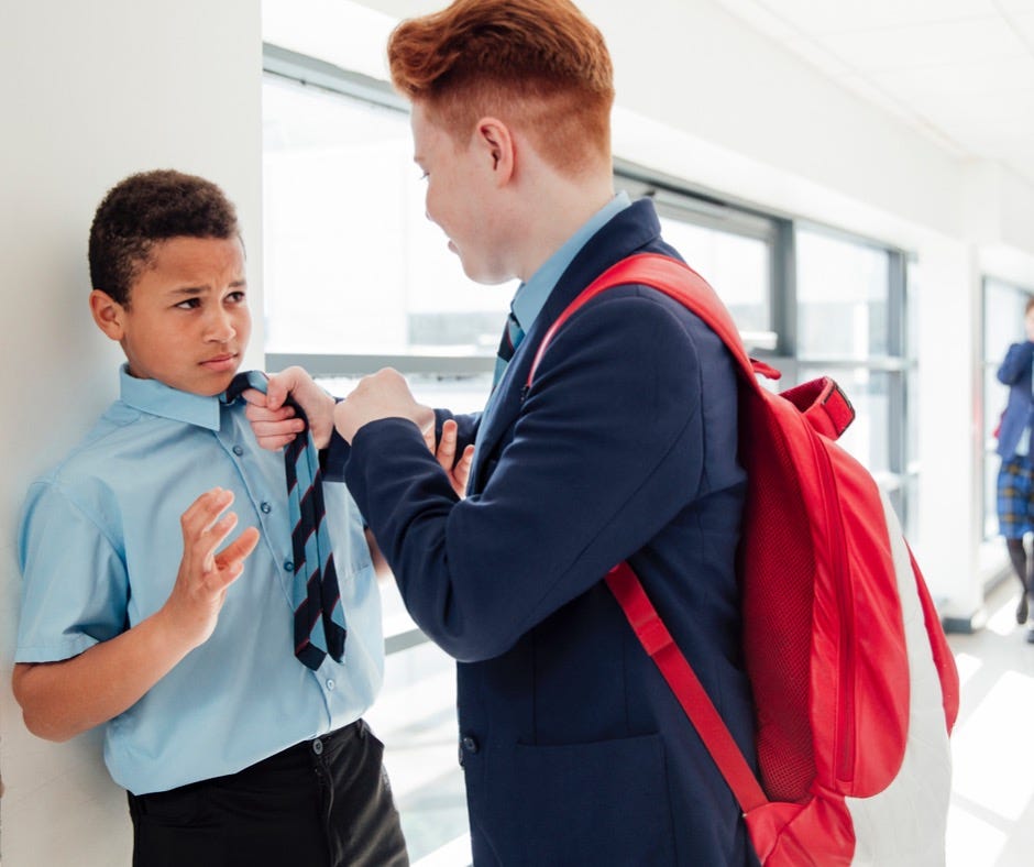 How to Distinguish a Bully From a Mean Kid - The Tenney School