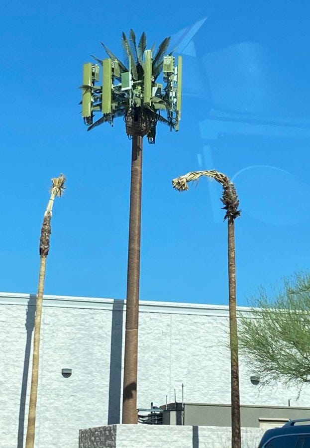 Tall pole structure mimicking a palm tree trunk with multiple rectangular green panels arranged like fronds at the top, standing next to two authentic palm trees showing signs of distress with wilted and brown fronds hanging down. Background includes a clear blue sky, a beige wall of a building, some green shrubs, and a parked vehicle partially visible. The disguised tower is centrally positioned between the dying palms.