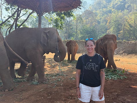 elephants
