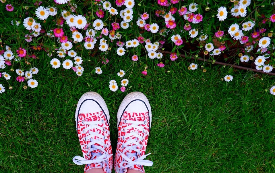 a person standing in front of a bunch of flowers