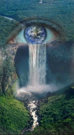 Contém uma imagem de: Contém uma imagem de: