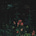 Anna's avatar
