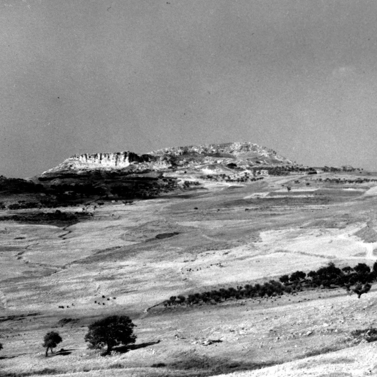 The struggle for Hill 609 continues - by Martin Cherrett