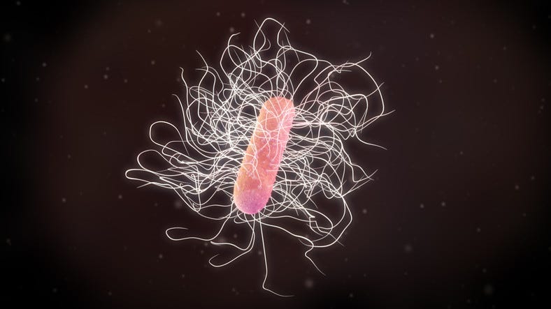 C. Difficile Image 
