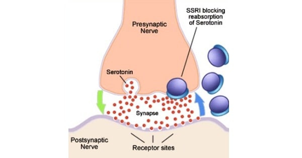 Selective Serotonin Reuptake Inhibitors (SSRI) - www.medicoapps.org