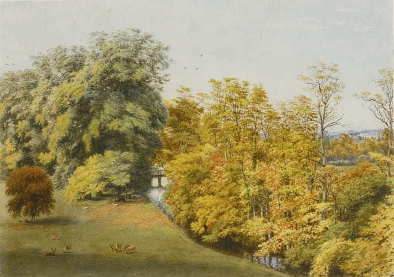Artwork by William Turner of Oxford‏, AUTUMN: ADDISON'S WALK, MAGDALEN COLLEGE, OXFORD, Made of watercolour over traces of pencil, heightened with bodycolour