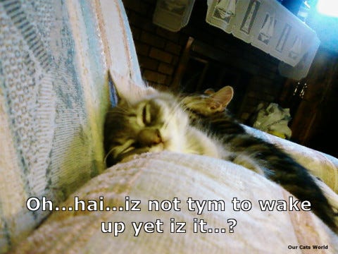 Kali_Sleepy_Time Kali_Sleepy_Time