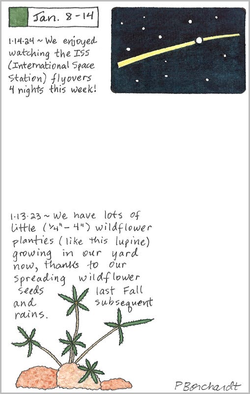 Perpetual Journal, week of Jan 8-14: International Space Station Flyover (2024); Little Lupine Planties (2023) Perpetual Journal, week of Jan 8-14: International Space Station Flyover (2024); Little Lupine Planties (2023)