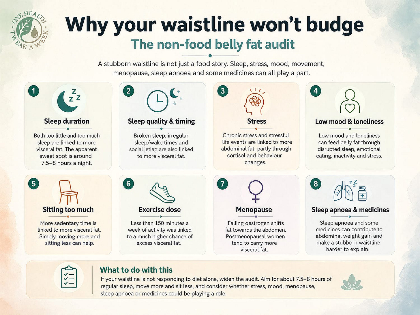 An infographic outlineing the non-food factors influencing belly fat