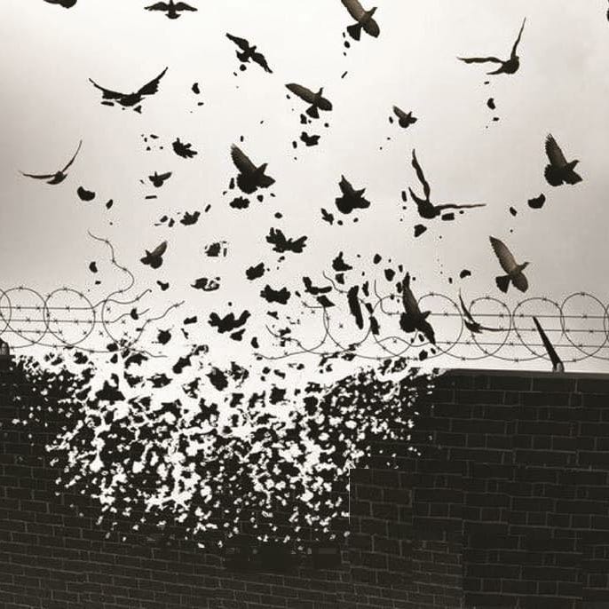 MONITORING THE SITUATION