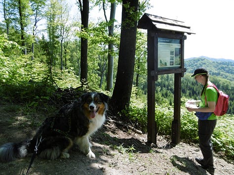 Dogtrekking 2016-1018
