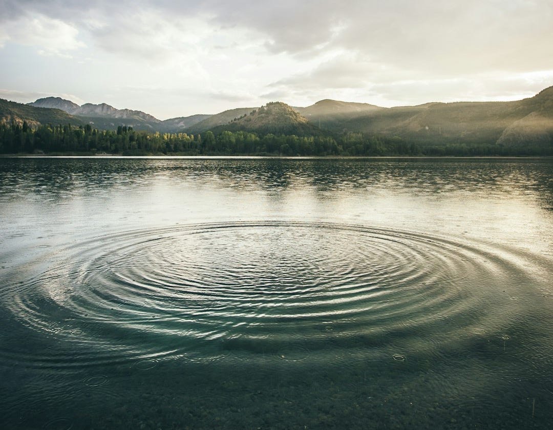 landscape of a lake