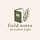 Jerusalem Light: Field Notes