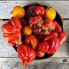 the religion of tomatoes + tomato crumble 
