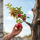 The Diseased Tree: An Autopsy of Our Lawless Age and the One Who Makes All Things New