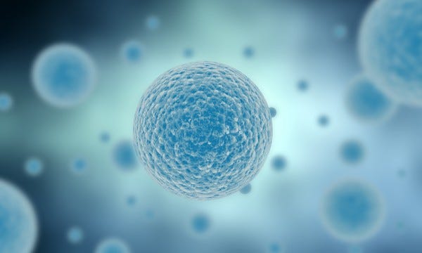 Oxidative stress — what you need to know | Smart Tips