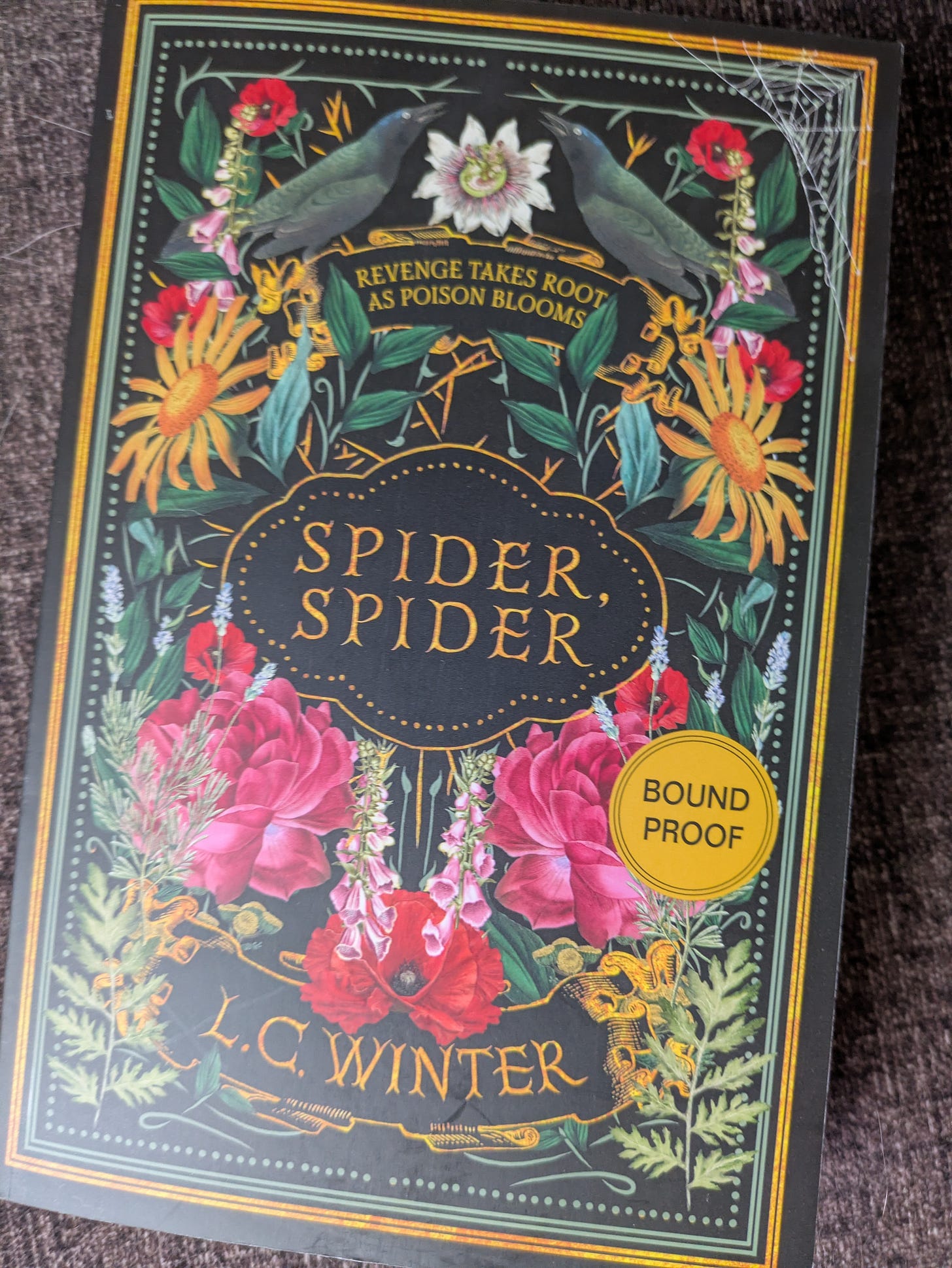The cover of a proof copy of Spider, Spider by LC Winter