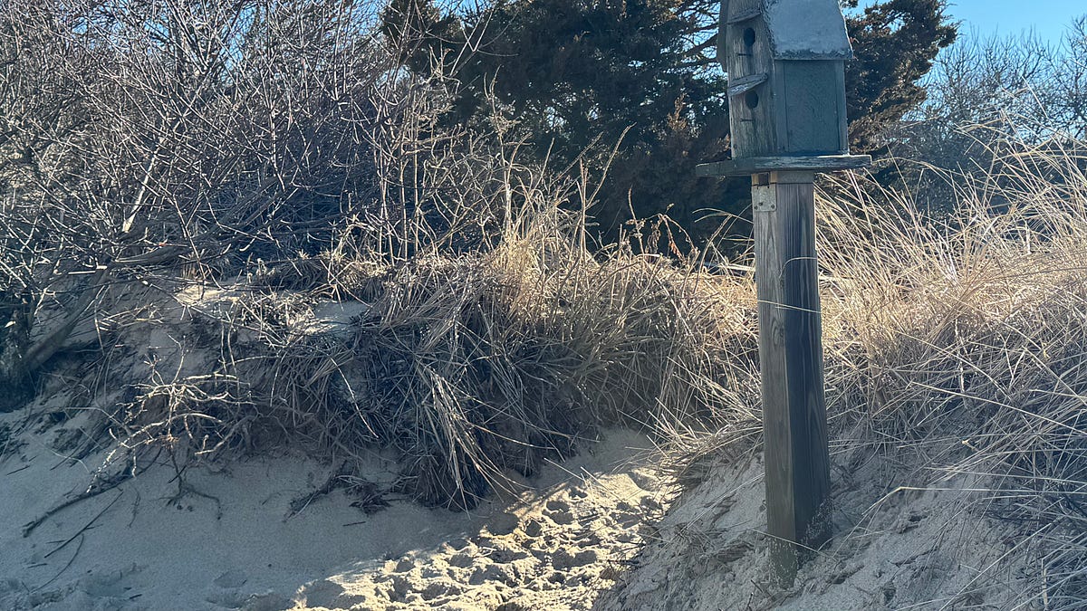 Roberta, Carlton, and the Color of Our Cape Cod Life