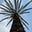 Sizhoun's avatar
