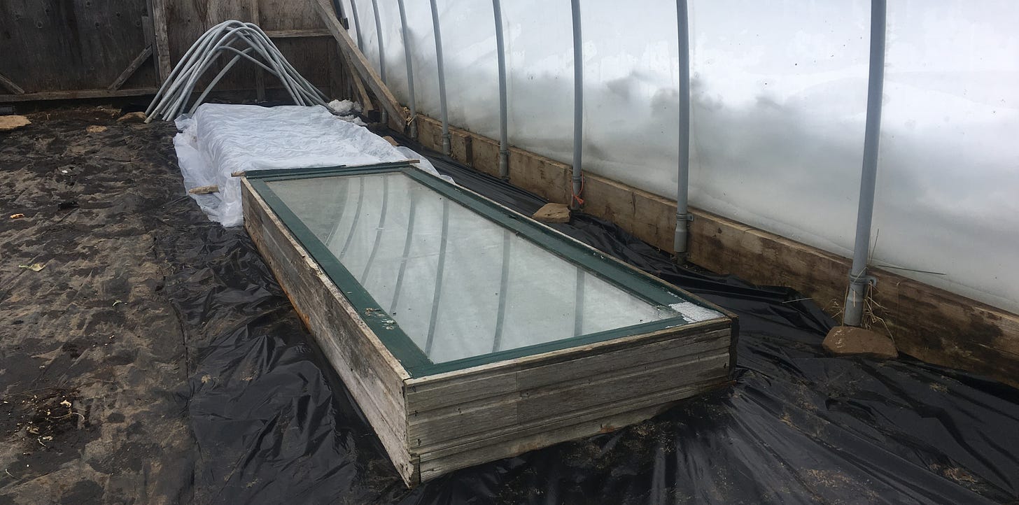 Low tunnel inside a hoop house creating a greenhouse within a greenhouse