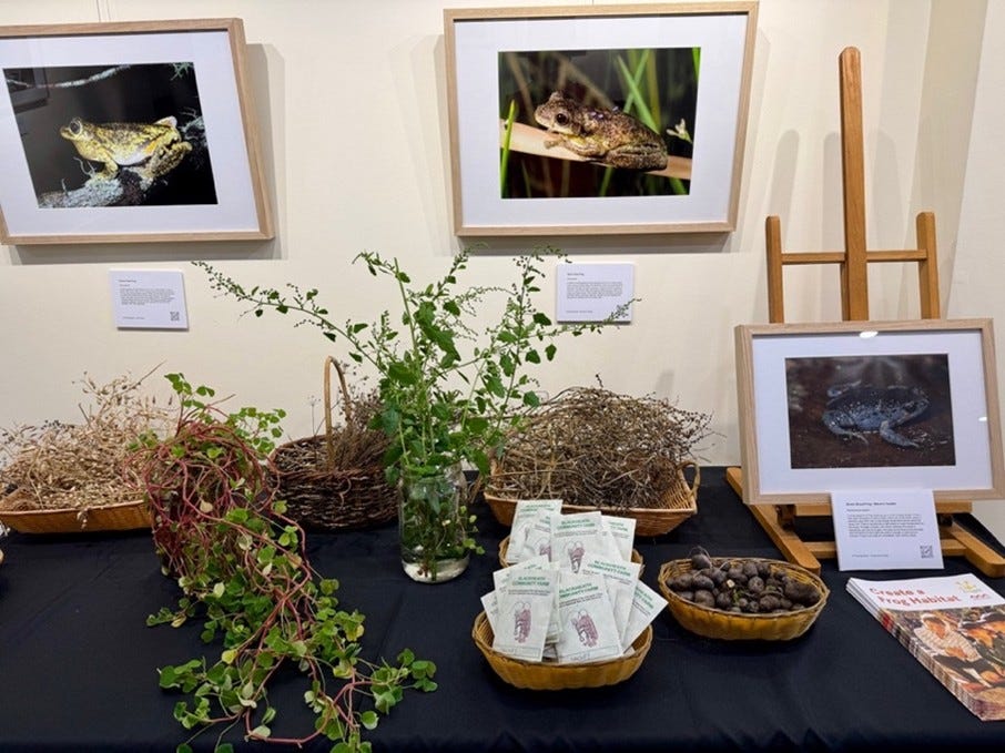 seed savers katoomba