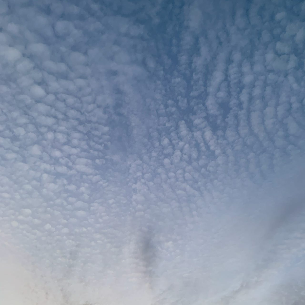 Brittany’s Substack