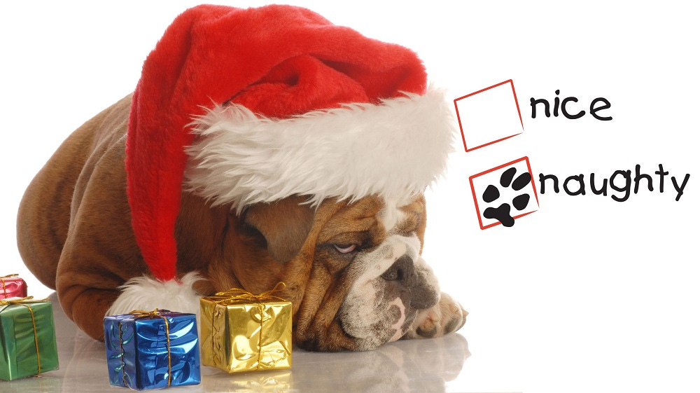 Top 10 Anti-Christmas Films 2016 images Top 10 Anti-Christmas Films 2016 images