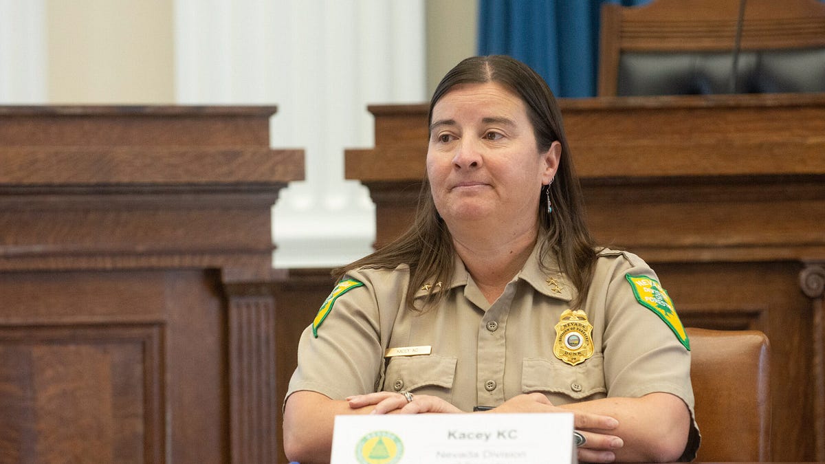 Kotek taps top forester fresh off financial mess