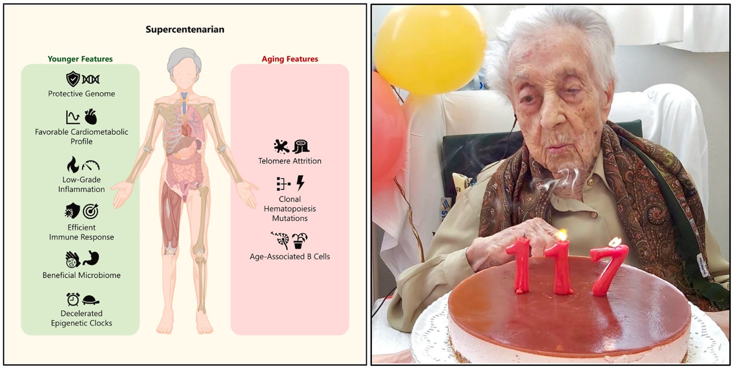 An old person with a cake

AI-generated content may be incorrect.