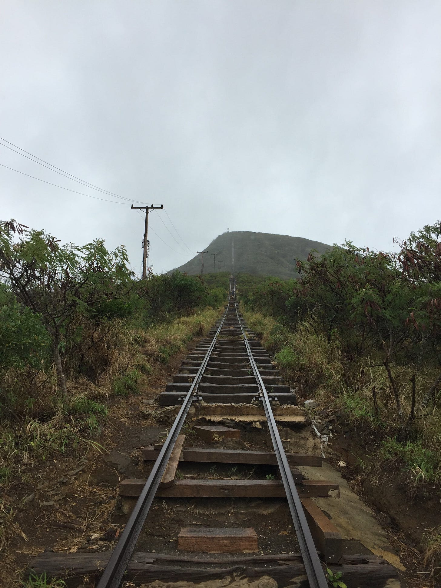 During my on-site interview to University of Hawai’i, I tacked a personal day at the end to explore the island. I hiked up to Koko Head crater on this old tram line. A metaphor of sorts