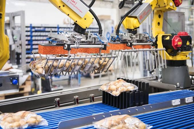Onion & Potato packing lines - Lan Handling Technologies Onion & Potato packing lines - Lan Handling Technologies